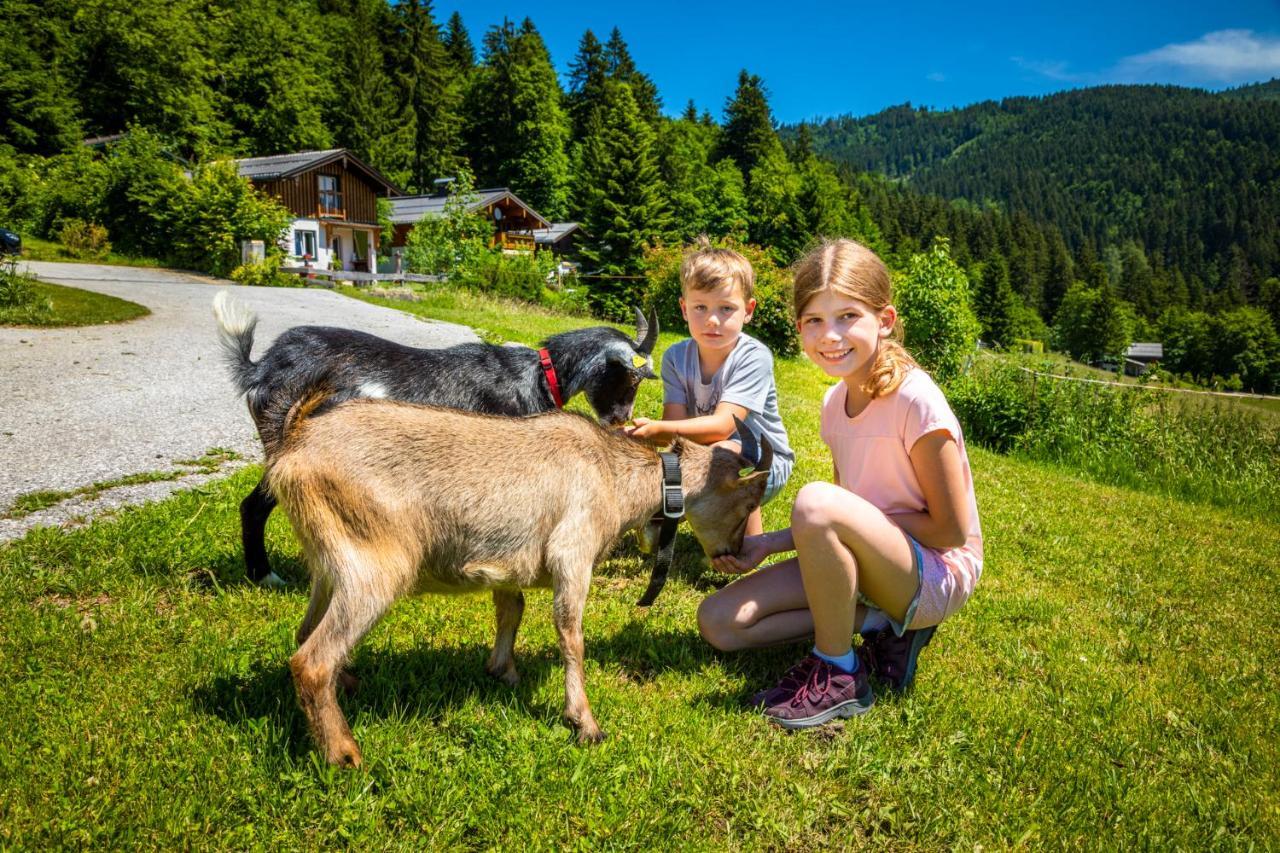 Appartement Reitlhof, Bio Berg Bauernhof Krispl Экстерьер фото